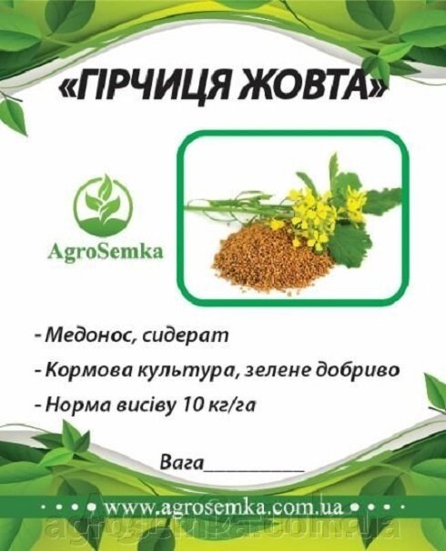 Насіння Гірчиця жовта (сидерат), 1кг на вагу / урожай 2021р від компанії AgroSemka - фото 1