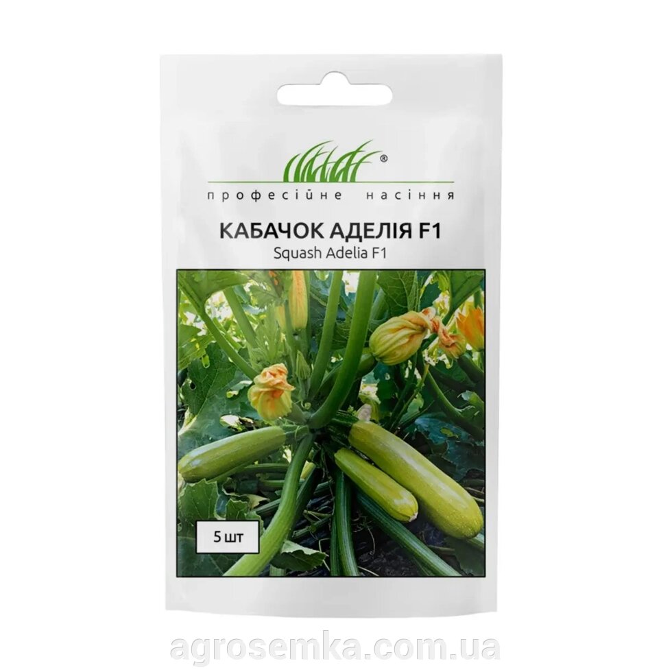 Насіння  Кабачок Аделія F1 5шт / Enza Zaden від компанії AgroSemka - фото 1
