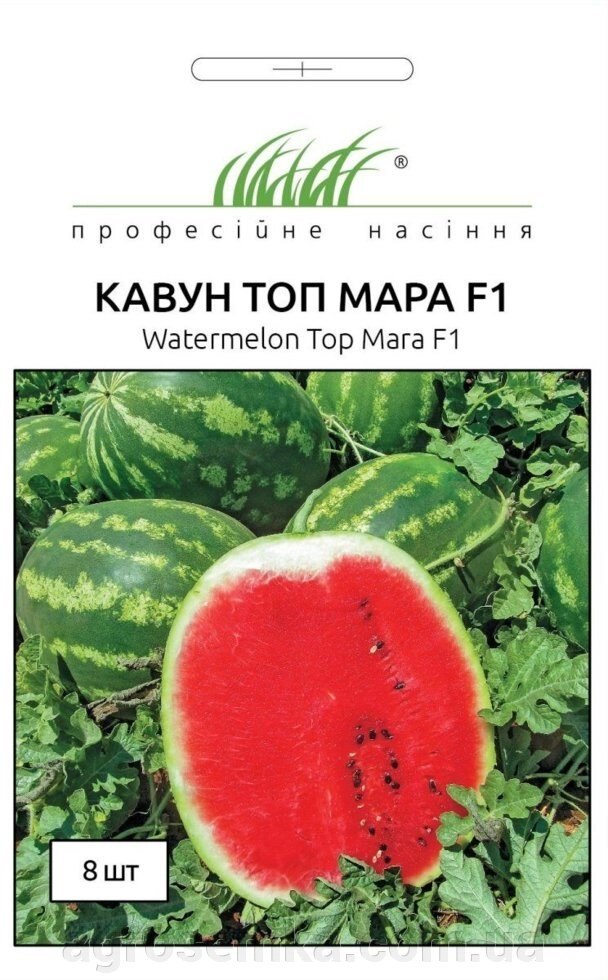 Насіння Кавун Топ Мара F1 8 шт. / United Genetics від компанії AgroSemka - фото 1