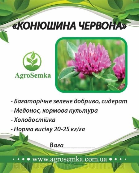 Насіння Конюшини червоної магніченої багаторічної посівної, 1кг урожай 2023 р від компанії AgroSemka - фото 1