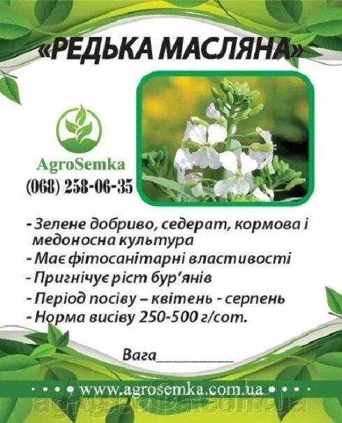 Насіння Редька олійна (сидерат, кормова культура, добриво) 1кг / урожай 2023 г від компанії AgroSemka - фото 1