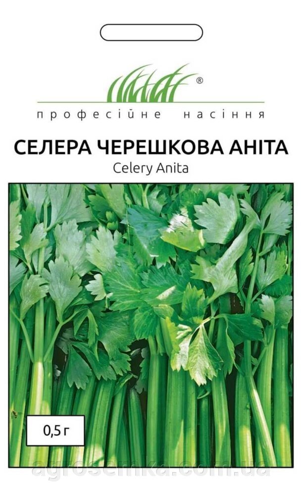 Насіння Селера черешкова Аніта 0,5 г / United Genetics від компанії AgroSemka - фото 1