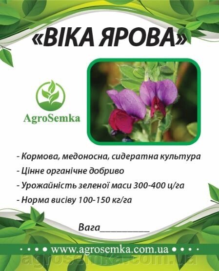 Насіння трави Віка, 1 кг від компанії AgroSemka - фото 1