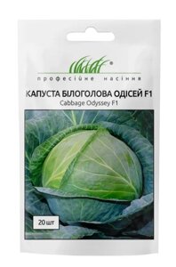 Капуста Одісей F1 20шт / United Genetics в Київській області от компании AgroSemka