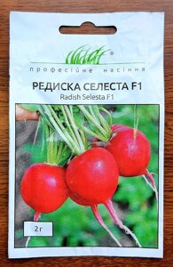 Насіння Редис Селеста F1 2г / Enza Zaden в Київській області от компании AgroSemka