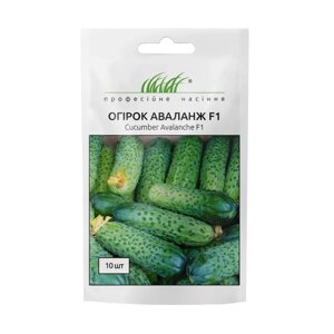 Насіння Огірок  Аваланж F1 10шт / NongWoo Bio в Київській області від компанії AgroSemka