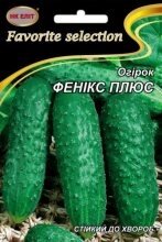 Насіння огірок Фенікс плюс 5г в Київській області от компании AgroSemka