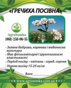 Насіння Гречка (Гречка) посівна, 1кг в Київській області от компании AgroSemka