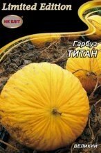 Насіння Гарбуз Титан 10г в Київській області от компании AgroSemka