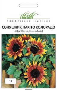 Соняшник низькорослий Пакіто Колорадо 1г / Hem Zaden