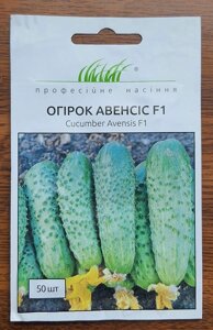 Насіння Огірок Авенсіс F1 50 шт / NongWoo Bio в Київській області от компании AgroSemka