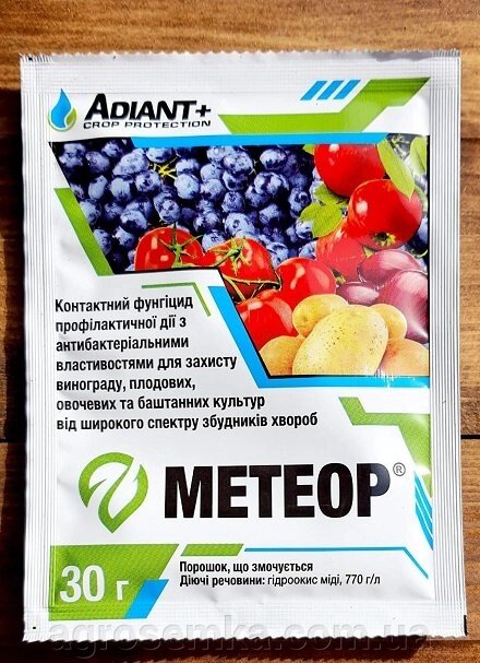 Профілактичний фунгіцид Метеор 30г ADIANT + Crop Protection від компанії AgroSemka - фото 1