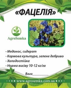 Насіння Фацелія медоносна посівна однорічна, 1кг урожай 2023р