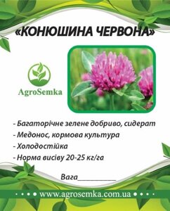 Насіння Конюшини червоної магніченої багаторічної посівної, 1кг урожай 2023 р