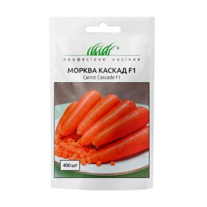 Насіння Морква Каскад F1 0.5г / Bejo Zaden