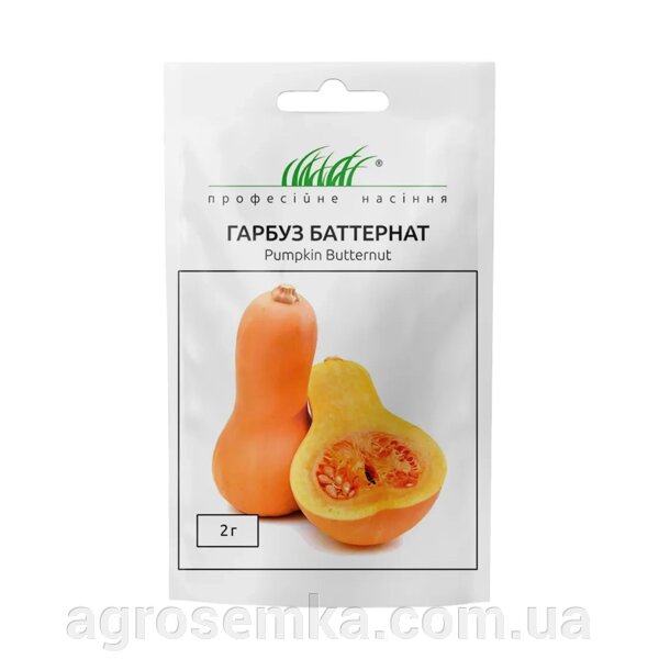 Тыква баттернат описание сорта фото отзывы