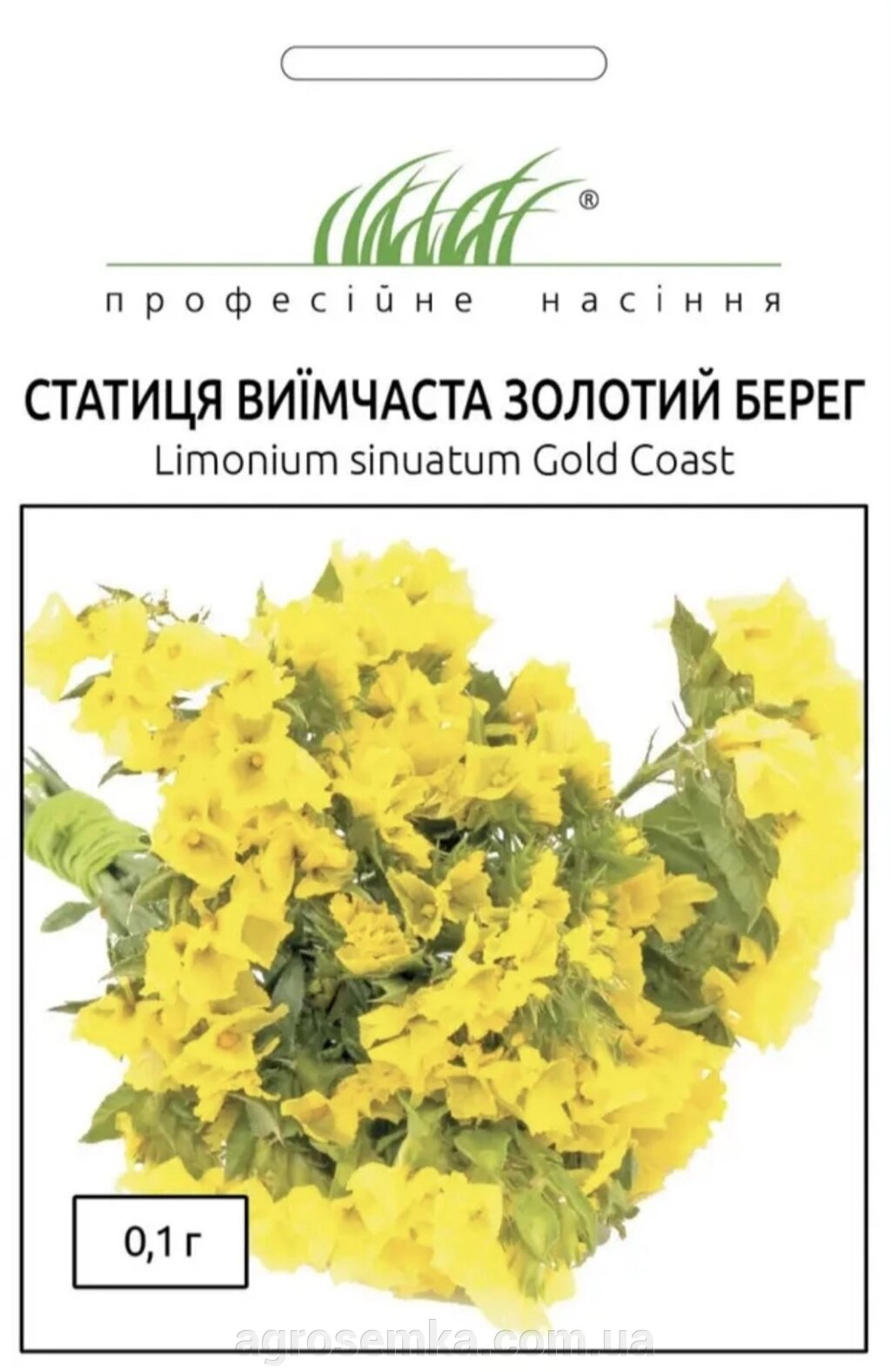 Статиця виїмчаста Золотий берег 0.1г / Hem Zaden від компанії AgroSemka - фото 1