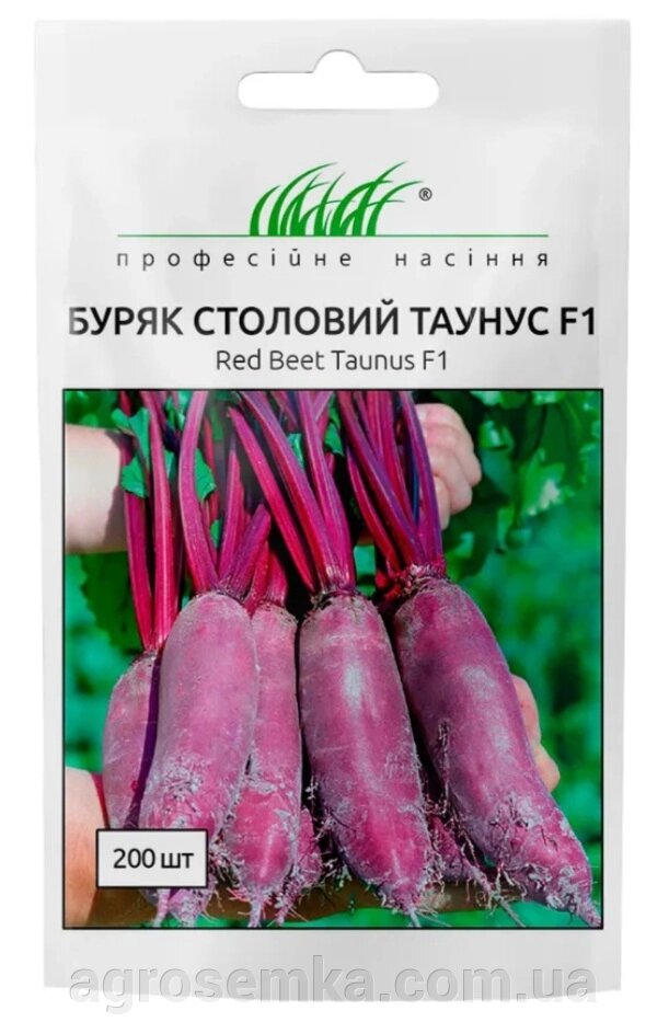 Столовий буряк Таунус F1 3г  / Bejo Zaden від компанії AgroSemka - фото 1