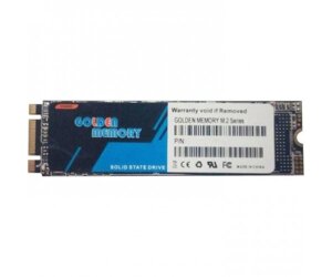 SSD накопичувач Golden Memory GMNV256