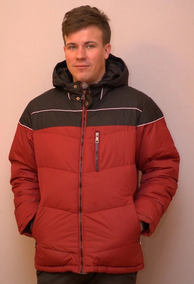 Куртка чоловіча зимова на тинсулійте BRAGGART від компанії ГАРДЕРОБ - фото 1