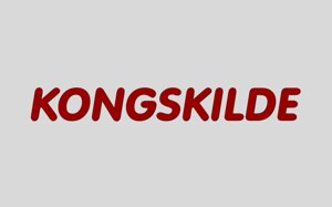 KONGSKILDE, підшипникові вузли