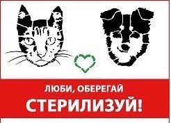Кастрація, стерилізація тварин, вакцинація, чіпування на дому і інші ветеринарні послуги Київ і область.
