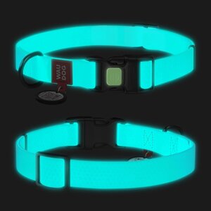 Нашийник для собак водостійкий WAUDOG Waterproof c QR-паспортом, світиться, пластикова пряжка-фастекс,Ш 15 мм, Дл 25-35