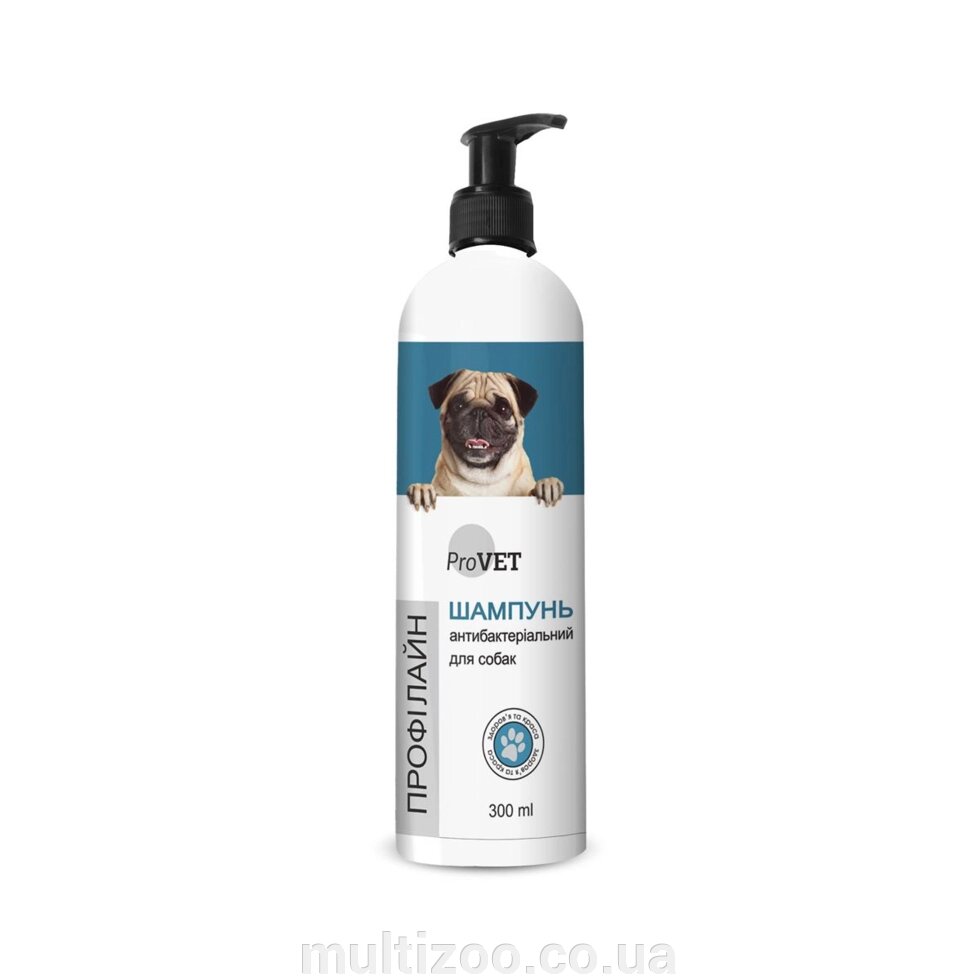 Шампунь ProVET "Профілайн" антибактеріальний для собак 300 мл від компанії Multizoo - зоотовари для тварин - фото 1