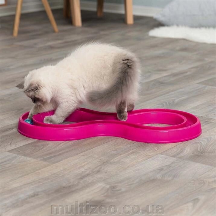 Змійка-вісімка д / котів "Ball Race" з світло. м'ячиком, 65 31 см, рожева, пластик від компанії Multizoo - зоотовари для тварин - фото 1
