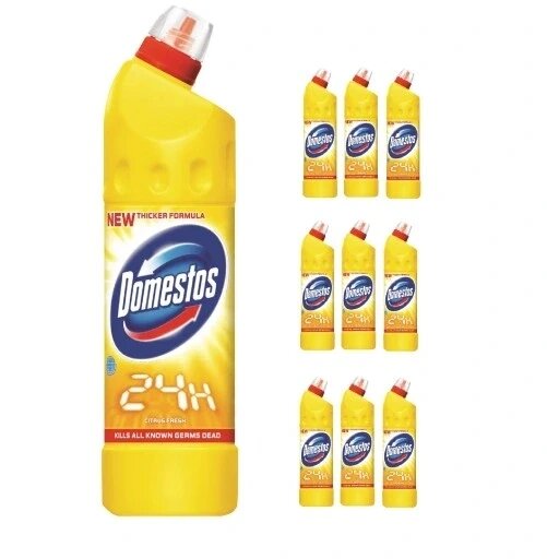 10 Рідина Domestos 0,75л для чищення унітазу від компанії Інтернет-магазин EconomPokupka - фото 1