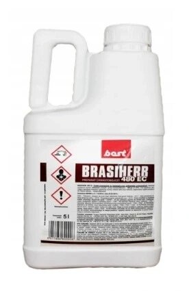 Brasiherb 480ec 5l бур’яни рапсу тасзнік маpуна Brasiherb 480ec 5l бур’яни рапсу тасзнік маруна Best-pest від компанії Інтернет-магазин EconomPokupka - фото 1