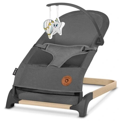 Качалка Lionelo June Air Bouncer - сірий графіт Grey Graphite від компанії Інтернет-магазин EconomPokupka - фото 1