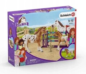 Набір для тренування коней Schleich Horse Club 42433 в Івано-Франківській області от компании Інтернет-магазин EconomPokupka