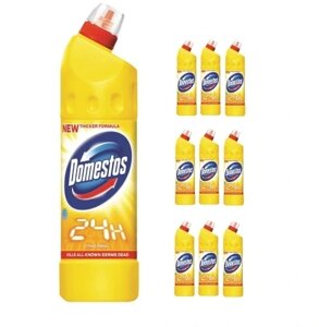 10 Рідина Domestos 0,75л для чищення унітазу в Івано-Франківській області от компании Інтернет-магазин EconomPokupka