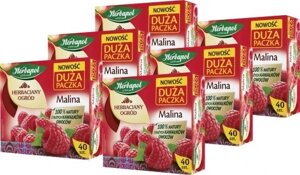 Експресовий фруктовий чай Herbapol 108 г (x6) малина 40тб в Івано-Франківській області от компании Інтернет-магазин EconomPokupka