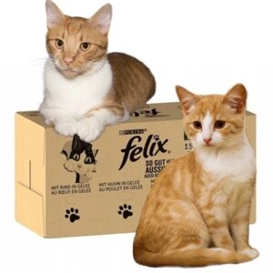 Вологий корм для кішок 10,2 кг Felix 120x85г мікс смаків