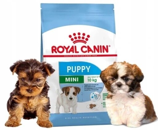 Сухий корм Royal Canin курка Mini Junior YORK SHIH TZU 8 кг від компанії Інтернет-магазин EconomPokupka - фото 1