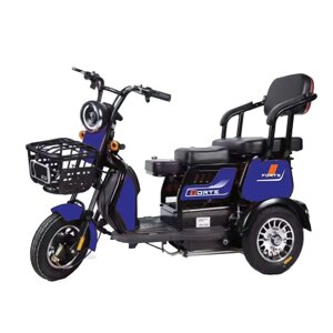 Електричний трицикл акумуляторний Forte FAMILY-WS600 600W-60V-20Ah Li-ion шини 8"-8" купити дешево Україна