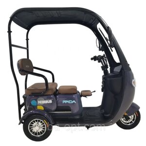 Електричний трицикл DOMINATOR NiMBUS 1000W-72V-23Ah колеса 10" купити дешево в Украіні