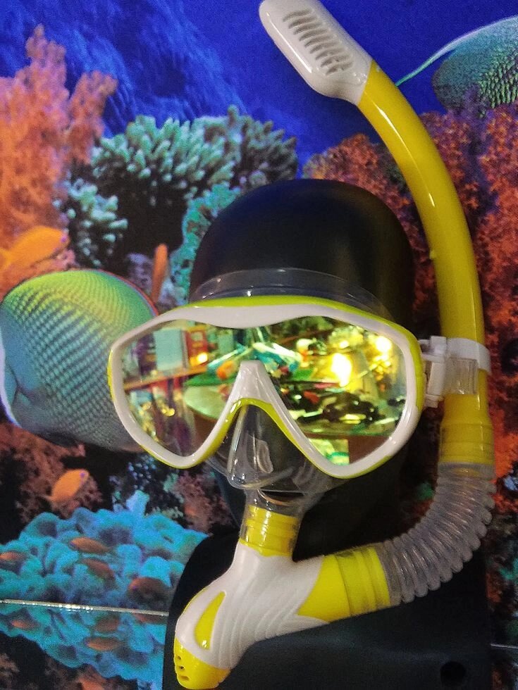 Набір для плавання: маска тонована + трубка "суха" від компанії Магазин Calipso dive shop - фото 1