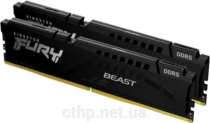 Kingston FURY 32 GB (2x16GB) DDR5 5200 MHz Beast Black (KF552C40BBK2-32) від компанії Cthp - фото 1