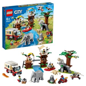 LEGO (60307)