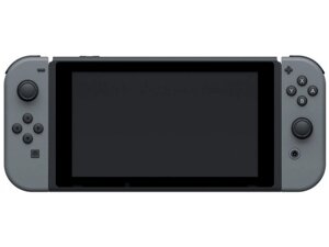 Nintendo Switch with Gray Joy Con