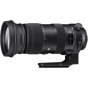 Sigma AF 60-600mm f/4,5-6,3 DG OS HSM sport (Nikon F)