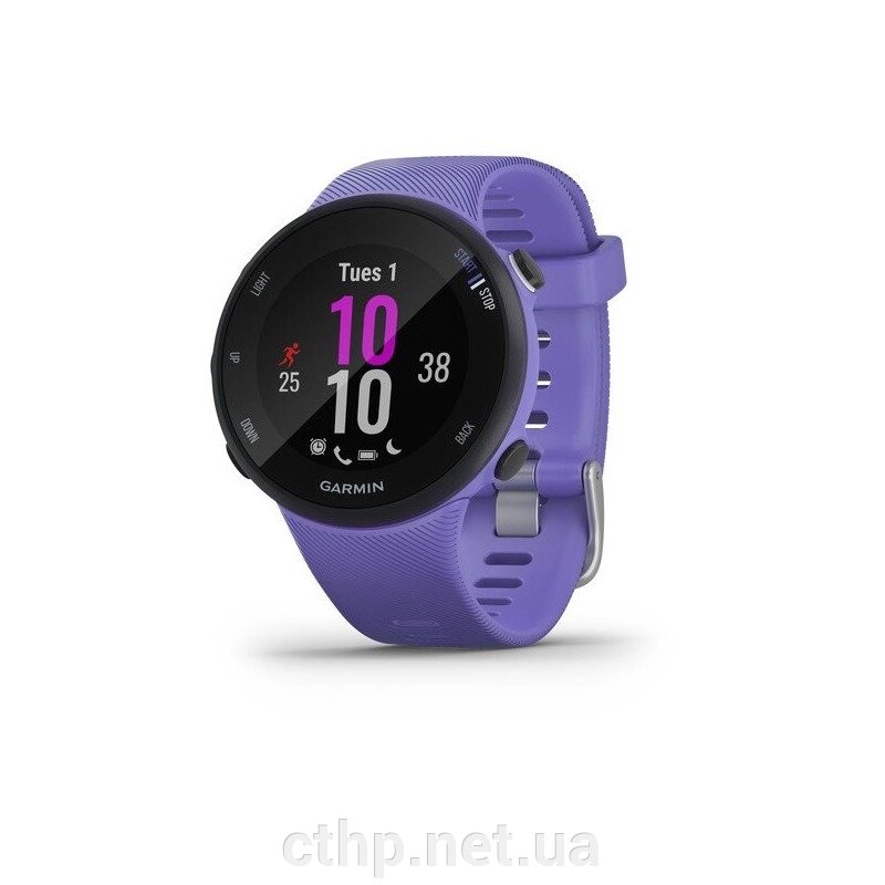 Спортивний годинник Garmin Forerunner 45s Iris (010-02156-11/010-02156-01) від компанії Cthp - фото 1