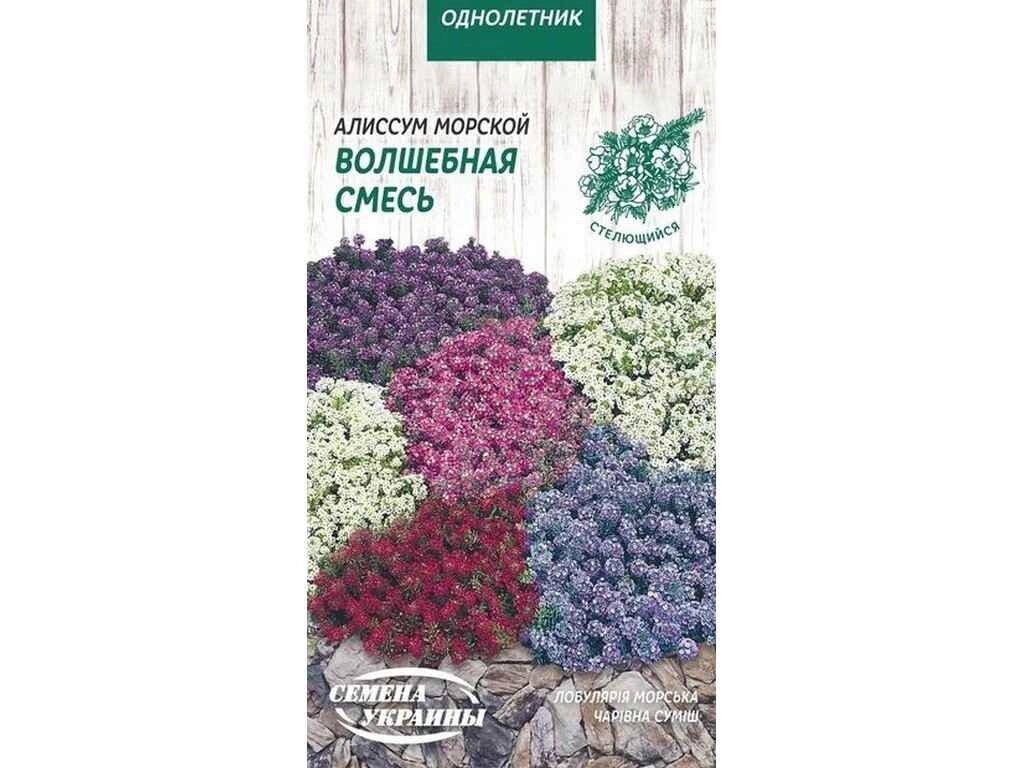 Аліссум морський Волшебная Смесь ОД 0,1г (10 пачок) ТМ НАСІННЯ УКРАЇНИ від компанії Фортеця - фото 1