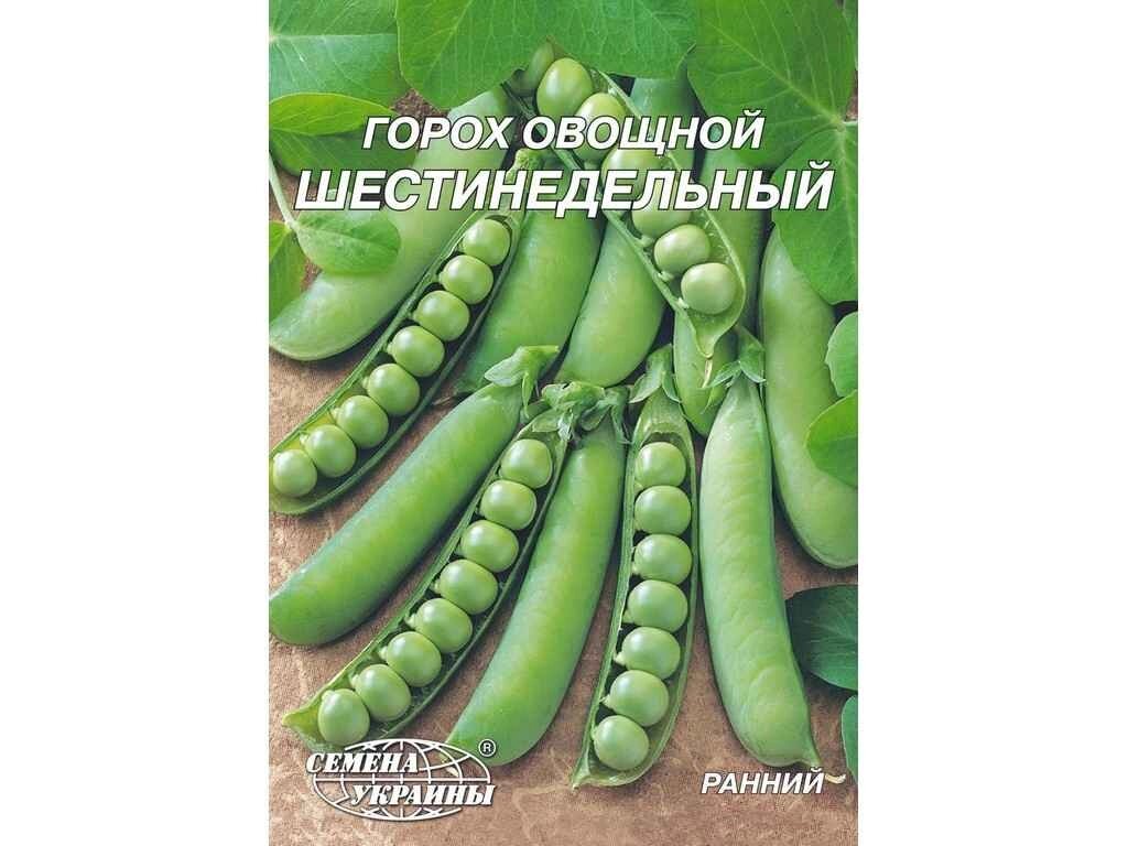 Гігант Горох овочевий Шеститижневий 20г (10 пачок) ТМ НАСІННЯ УКРАЇНИ від компанії Фортеця - фото 1