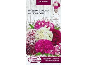 Гвоздика турецька махрова (суміш) дв (10 пачок) 0,25г тм насіння україни