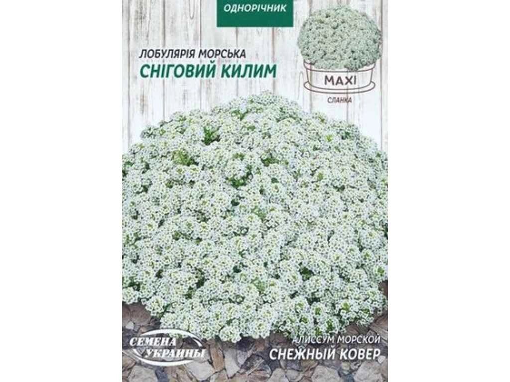 Максі Аліссум морський СНІГОВИЙ КИЛИМ 5г (10 пачок) ТМ НАСІННЯ УКРАЇНИ від компанії Фортеця - фото 1