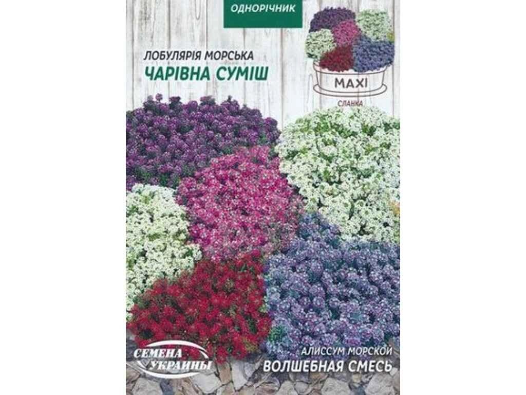 Максі Аліссум морський ВОЛШЕБНАЯ СМЕСЬ 2г (10 пачок) ТМ НАСІННЯ УКРАЇНИ від компанії Фортеця - фото 1